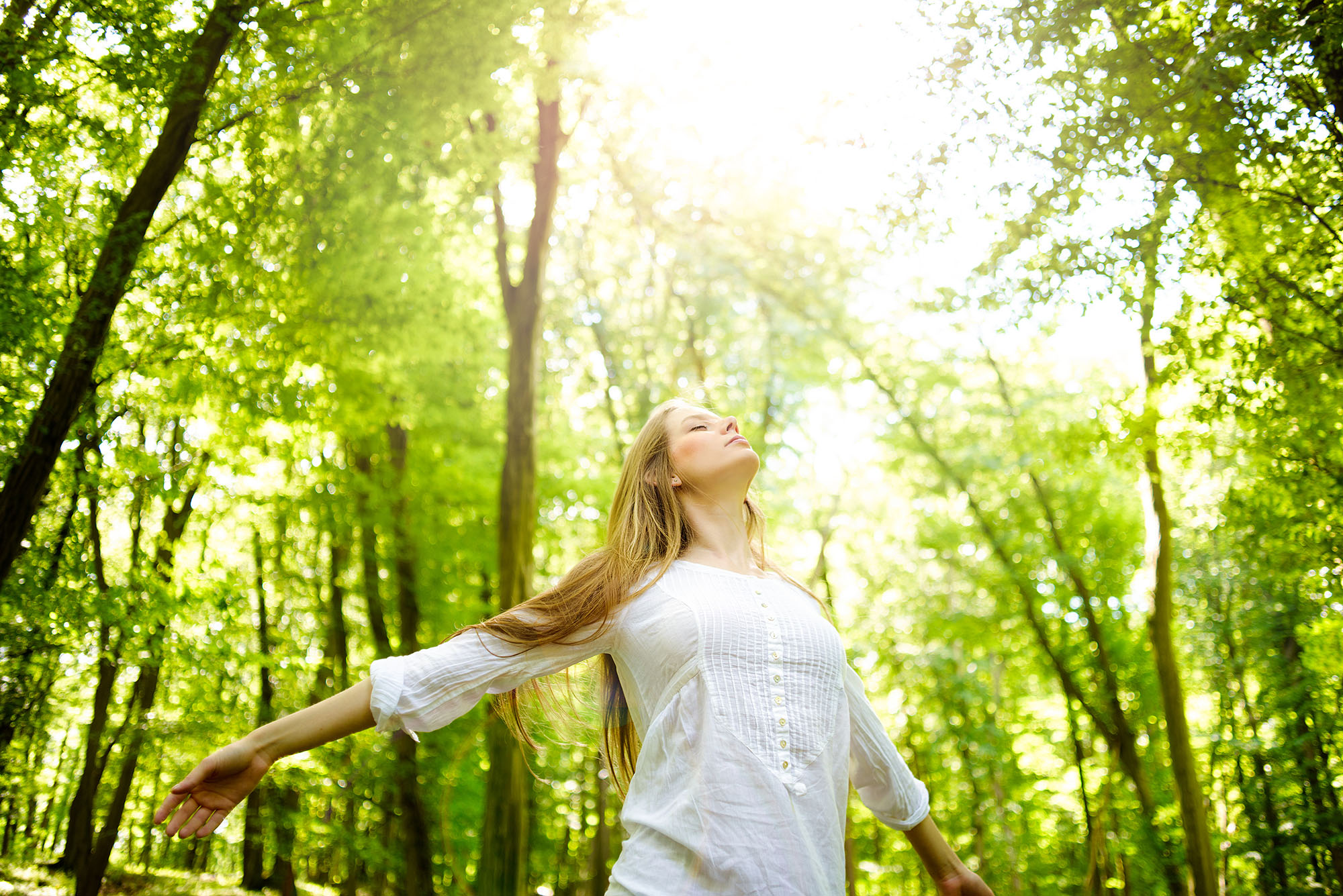 Serene landscape representing journey